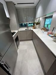 Zion Road (D3), Condominium #484199341